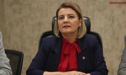 Fatma Kaplan Hürriyet yeniden aday oldu