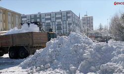 Ardahan'da 55 Yılın Kar Rekoru Kırıldı: Kar Yığınları Şehir Dışına Taşınıyor!