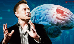 Musk'tan çığır açan beyin çipi açıklaması