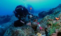 Ege Denizi'nde 5 Bin Yıllık Kalıntılar Bulundu