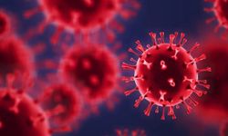 Japonya'da gizemli virüs: Rekor hızla yayılıyor