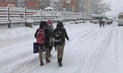 Valilik duyurdu: Okullara kar tatili