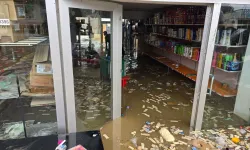 Gürcistan'ı Sel Vurdu: Dükkanlar Sular Altında, Köprüler Çöktü