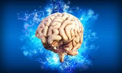 Nöroloji Akademisi'nden Çarpıcı Rapor: Beyin Hücrelerini Öldüren Besinler