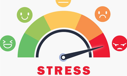 Stres Seviyesi Testi: Hayatın Tempolu Yokuşlarında Dengede Kalmak