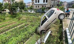 Bariyerleri Aşarak Bahçe ile Kaldırım Arasında Asılı Kaldı