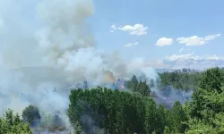 SON DAKİKA | Adana'da orman yangını