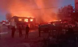 Ankara'da Otluk Alanda Çıkan Yangın Yerleşim Yerine Sıçradı
