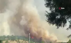 Bursa'da Orman Yangını!: 3 Köyü Tehdit Ediyor!