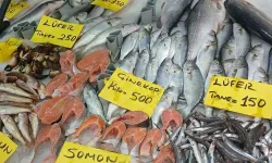 Kurban Bayramı Öncesinde Balık Fiyatlarında Şok Artış!