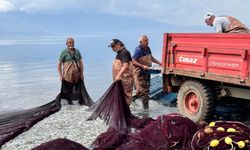 Gümüş balığında umutlar Ağustos'a kaldı