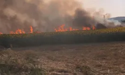 İnegöl Buğday Tarlasında Korkutan Yangın!