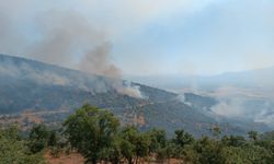Manisa’daki Yangında Ekip Sayısı 71’e Çıktı: Uşak-izmir Tren Seferleri Durduruldu