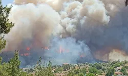 Menderes’te Orman Yangını: Uçaklar ve Helikopterler Bölgede