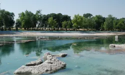 Sakarya Nehri Kuruma Tehlikesiyle Karşı Karşıya!