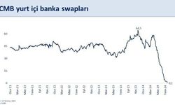 TCMB'nin Swap Stoku Büyük Düşüş Gösterdi