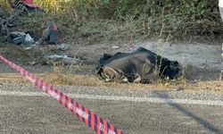 Alaplı'da motosiklet sürücüsü kamyonun altında kaldı: 1 ölü