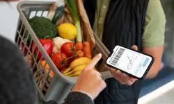 GDO Nedir? GDO’lu Ürün Ne Demek? İnsan Sağlığına ve Tarıma Etkileri Nelerdir?