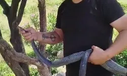 Ona Herkes Yılancı Kemal Diyor: İnsanlar yılanlardan daha tehlikeli!