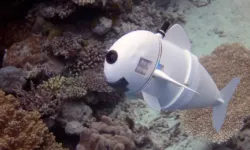 Robot Balığı Duydunuz mu? İsviçre'den Gelen Mühendislik Harikası: Belle Robot Balık
