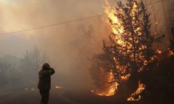 Yunanistan'dan, yangın söndürme çalışmalarına destek veren ülkelere teşekkür