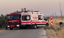 Şanlıurfa'da trafik kazası: 5 yaralı