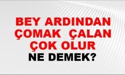 "Bey Ardından Çomak Çalan Çok Olur" Atasözünü ne anlama gelir?