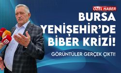 Bursa Yenişehir'de Biber Krizi: Sosyal Medyada Yayılan Görüntüler Gerçek Çıktı!