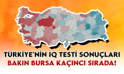 Türkiye'nin IQ Testi Sonuçları: Bakın Bursa Kaçıncı Sırada!