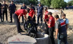 Narin'in ağabeyi kolundaki iz nedeniyle İstanbul Adli Tıp Kurumu’na gönderildi