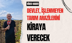 Devlet, İşlenmeyen Tarım Arazilerini Kiraya Verecek