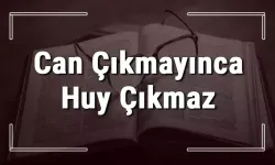 Can Çıkar Huy Çıkmaz Atasözü ve Anlamı