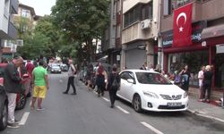 Kadıköy'de hayvan katliamı: Köpek ve kedileri zehirlediler