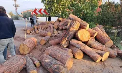 Bursa'da tonlarca kütük yola devrildi, öğretmen bir adımla ölümden kurtuldu