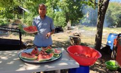 Tarlada kalan karpuzlar pekmeze dönüştü