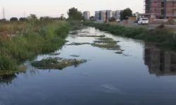 Antalya'da kanal kenarında bulunan cesedin kimliği belli oldu