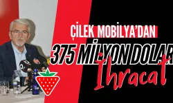 Çilek'ten 375 Milyon Dolar İhracat