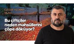 Bu çiftçiler neden mahsüllerini çöpe döküyor?