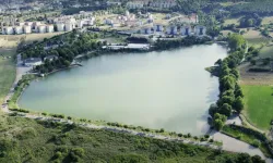 Yenice Göleti Kaderine mi Terk Edildi? Vatandaşlar Güvenlik ve Bakım İstiyor