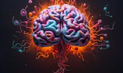 Normal Bir İnsanın Iq Seviyesi Kaçtır Ve Bu Değer Neyi İfade Eder? Iq Testleri Neyi Ölçer, Nasil Yorumlanır?