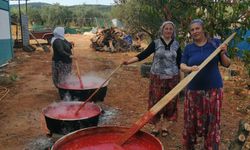 Bursa'da kışlık salça hazırlıkları devam ediyor