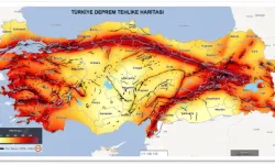 Türkiye'deki Fay Hatları Hangileridir?