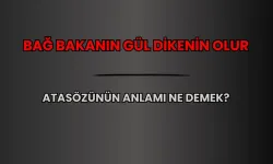 Bağ bakanın gül dikenin olur Atasözü ne demek?