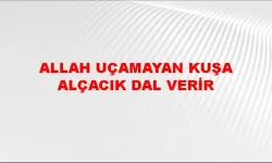 Allah Uçmayan Kuşa Alçacık Dal Verir Atasözü Ne Demek, Ne Anlama Geliyor?