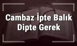 Cambaz İpte, Balık Tipte Gerek Atasözü Ne Anlama Gelir?