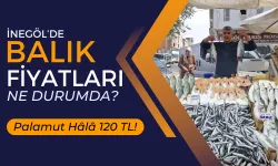 İnegöl’de Balık Fiyatları Ne Durumda? Palamut Hâlâ 120 TL!