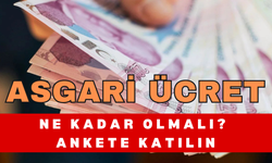 Sizce Asgari Ücret Ne kadar Olmalı?