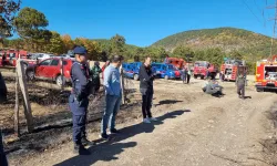 Domaniç'te Büyük Yangın Korkusu: Anız yangını ormana sıçradı!