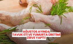 Ağustos Ayında Tavuk Eti ve Yumurta Üretimi Zirve Yaptı!