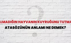 "Almadığı Hayvanı Kuyruğundan Tutma" Atasözü Ne Demek?